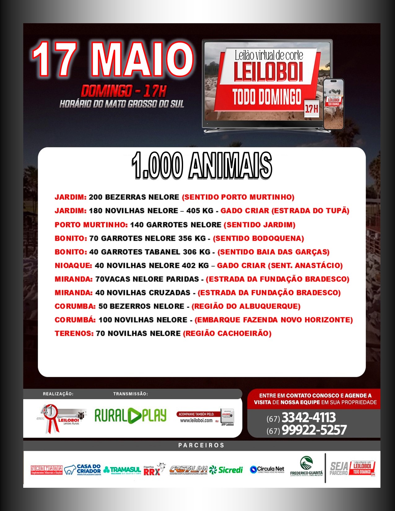 LEILÃO LEILOBOI VIRTUAL DE CORTE
