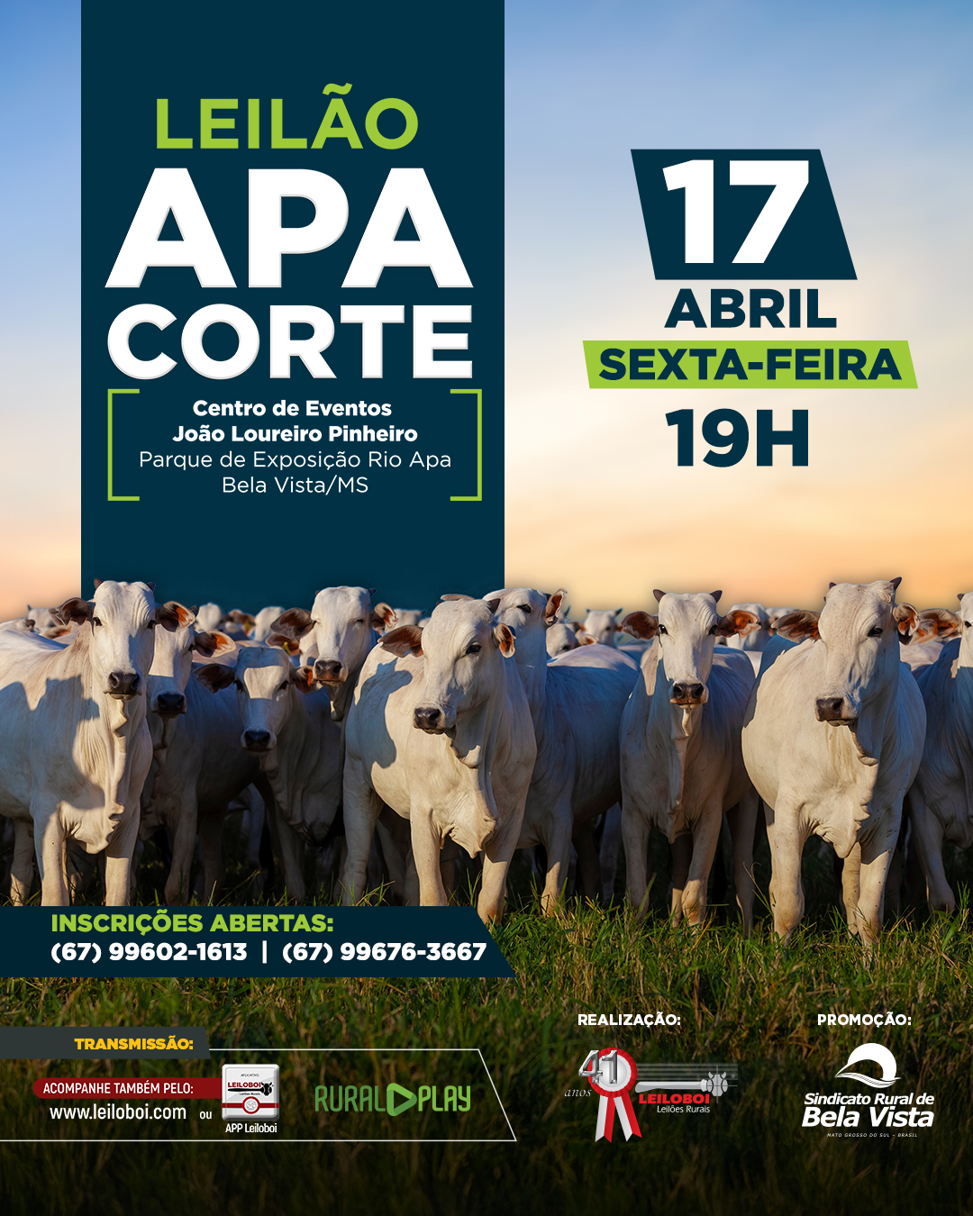 LEILÃO APA CORTE - BELA VISTA/MS