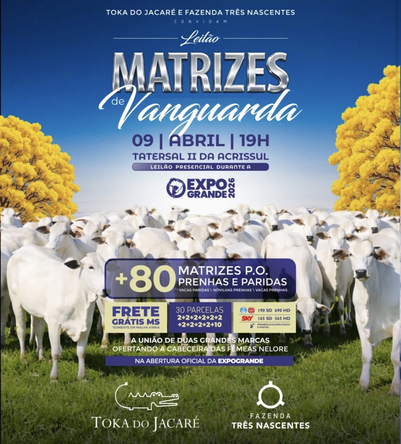 LEILÃO MATRIZES DE VANGUARDA - EXPOGRANDE 2026