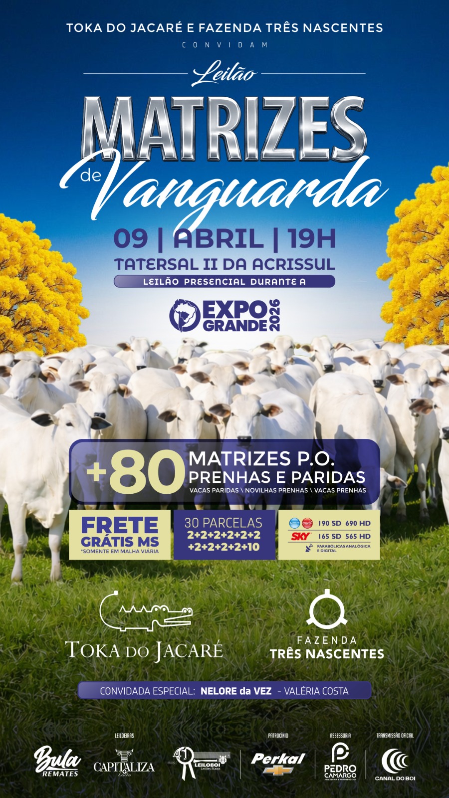 LEILÃO MATRIZES DE VANGUARDA - EXPOGRANDE 2026