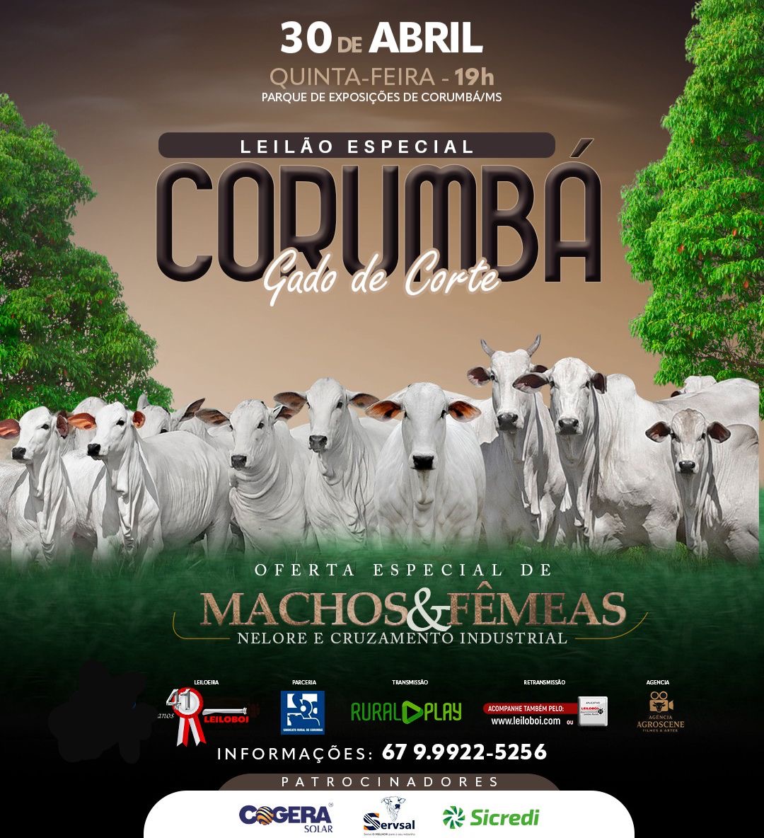LEILÃO ESPECIAL CORTE CORUMBÁ - CORUMBÁ/MS