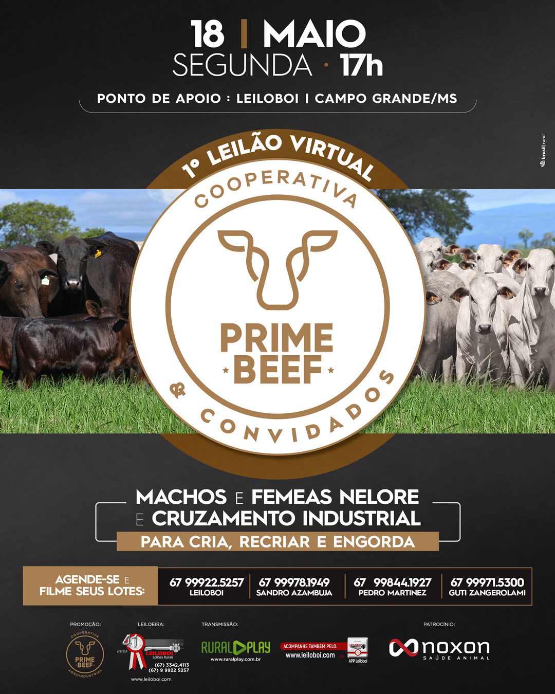 1º Leilão Virtual Cooperativa Prime Beef e Convidados
