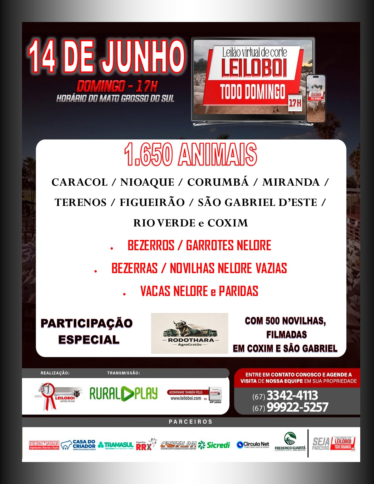 LEILÃO LEILOBOI VIRTUAL DE CORTE