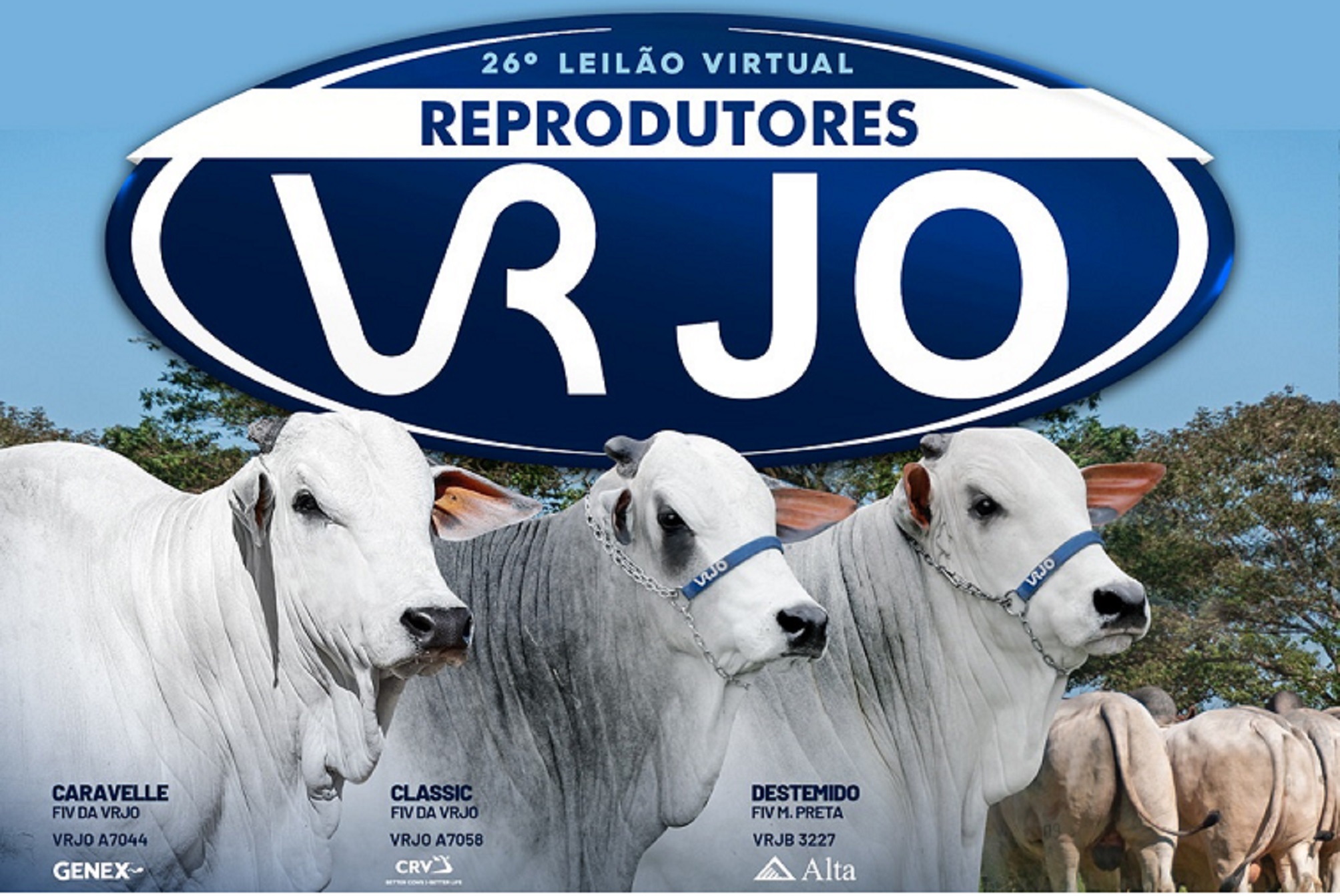 27º LEILÃO VIRTUAL REPRODUTORES VRJO