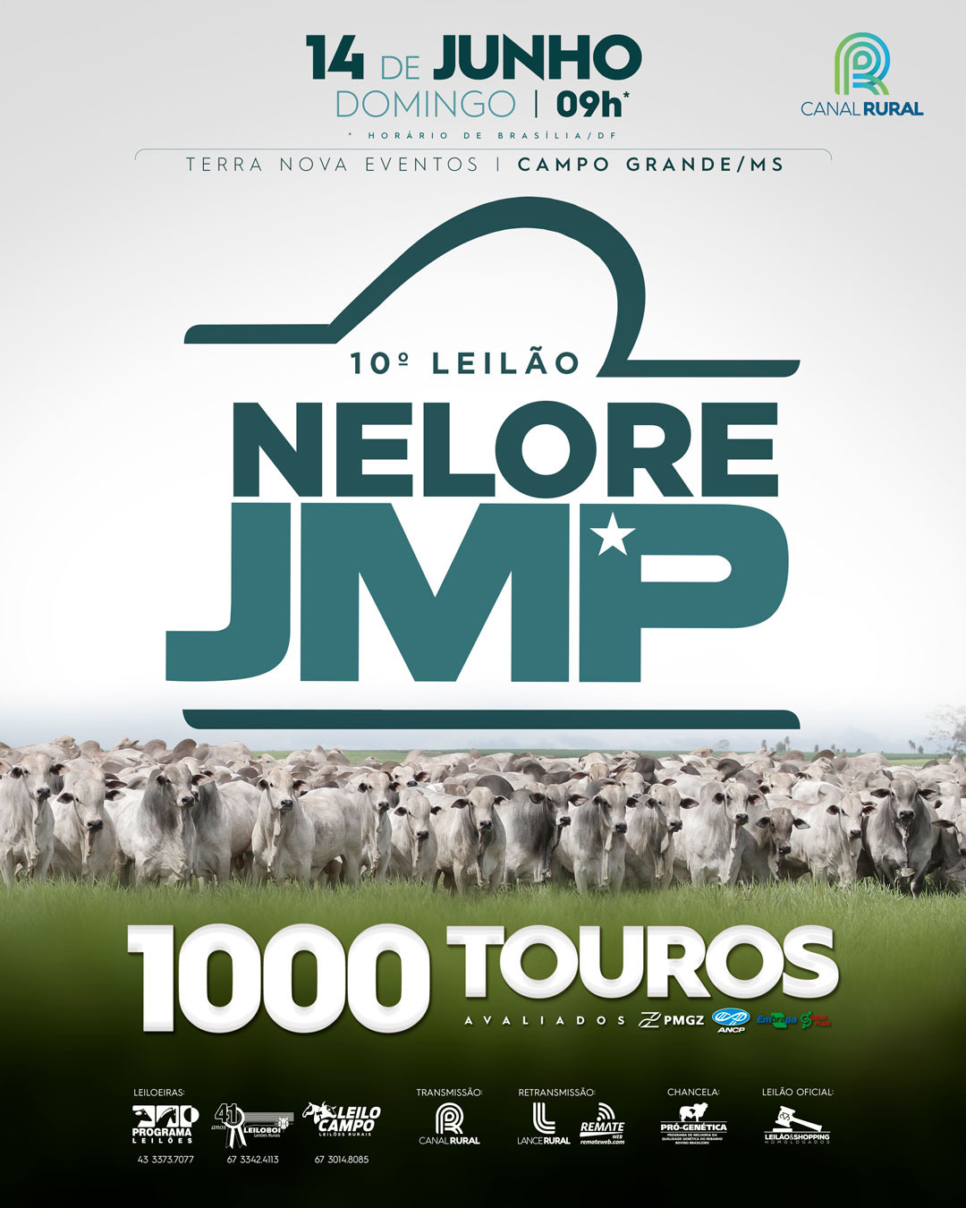 LEILÃO 1.000 TOUROS JMP - CAMPO GRANDE/MS