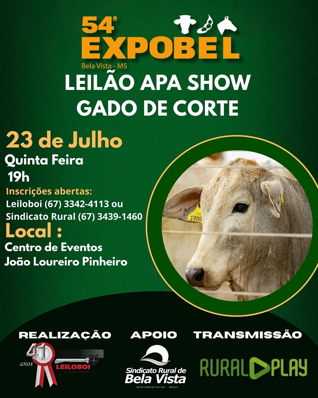 LEILÃP APA CORTE - EXPOBEL 2026