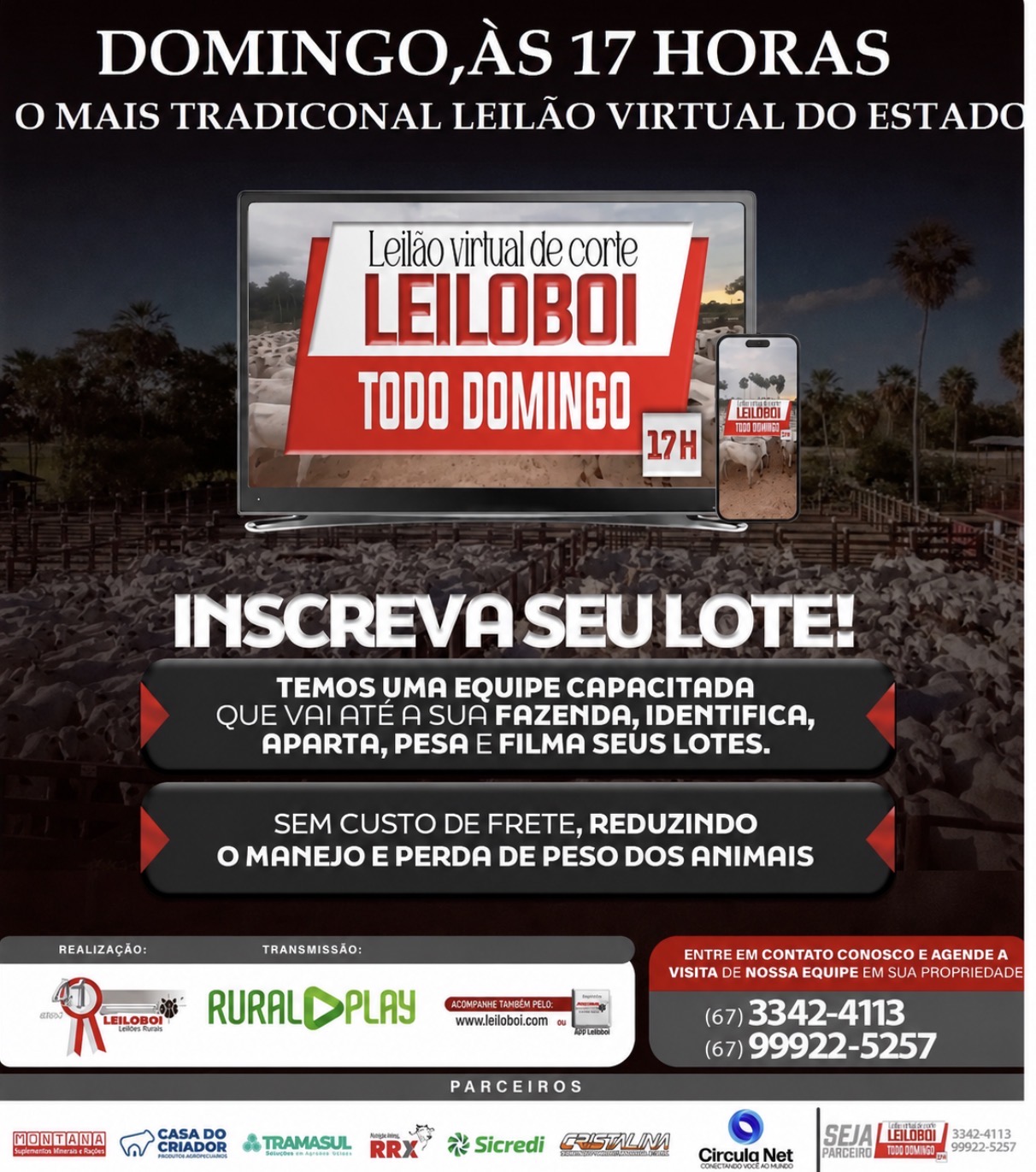 LEILÃO LEILOBOI VIRTUAL DE CORTE