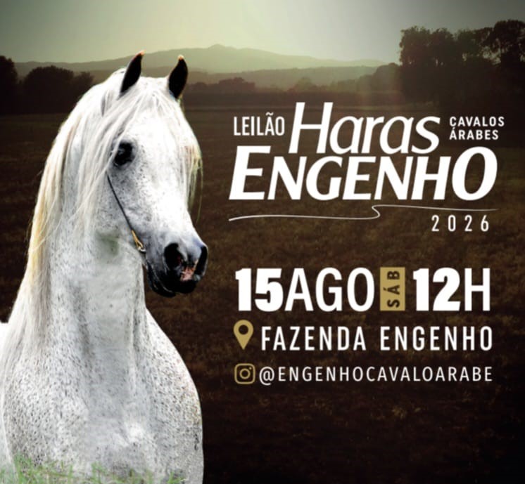 LEILÃO HARAS ENGENHO & CONVIDADO