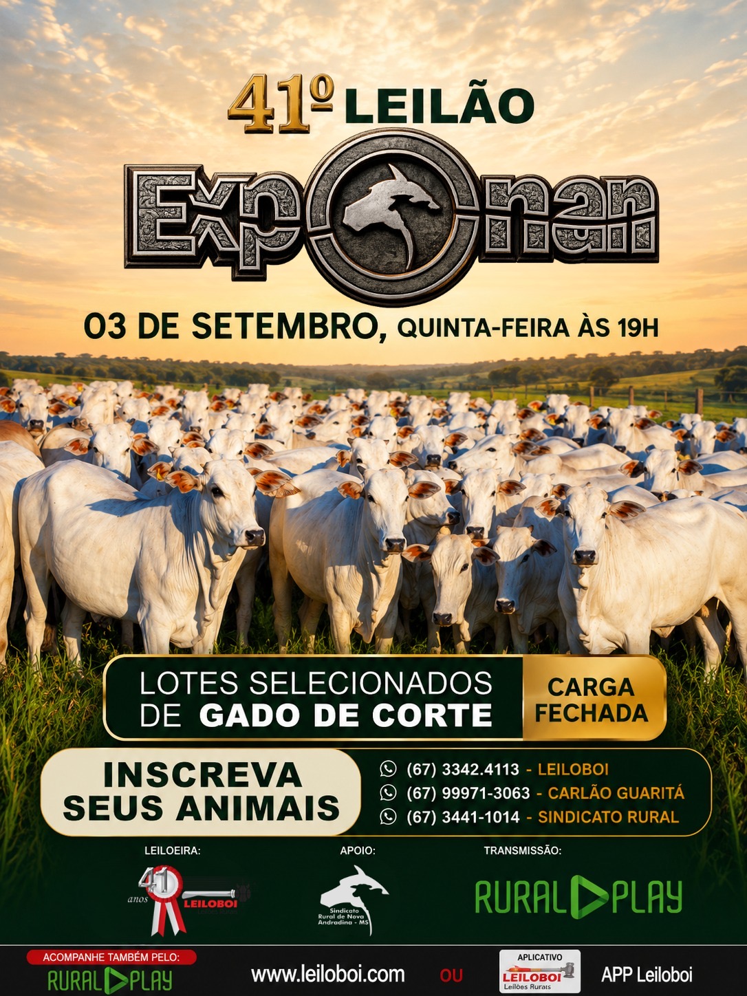 LEILÃO ESPECIAL CORTE NOVA ANDRADINA