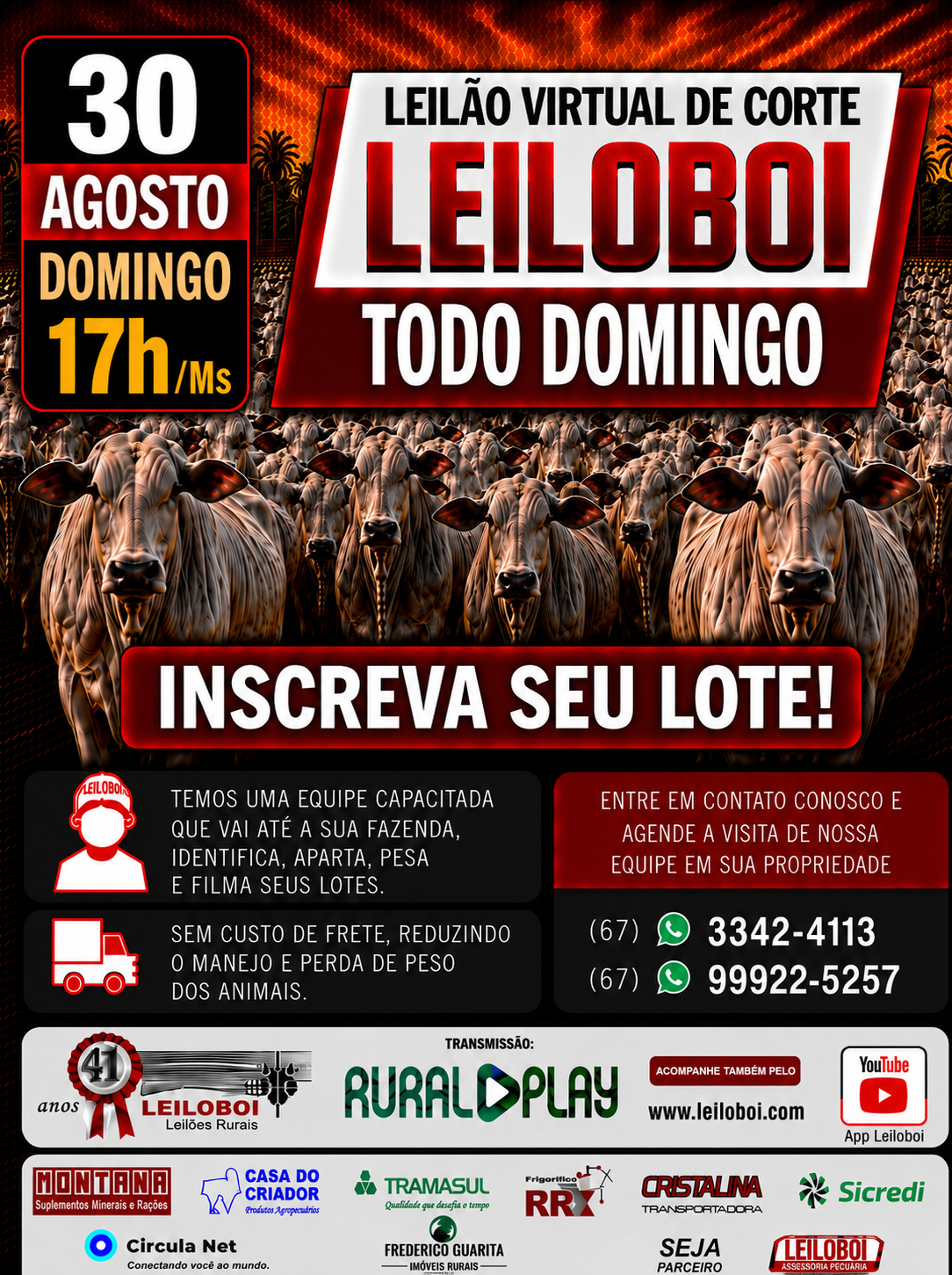LEILÃO LEILOBOI VIRTUAL DE CORTE