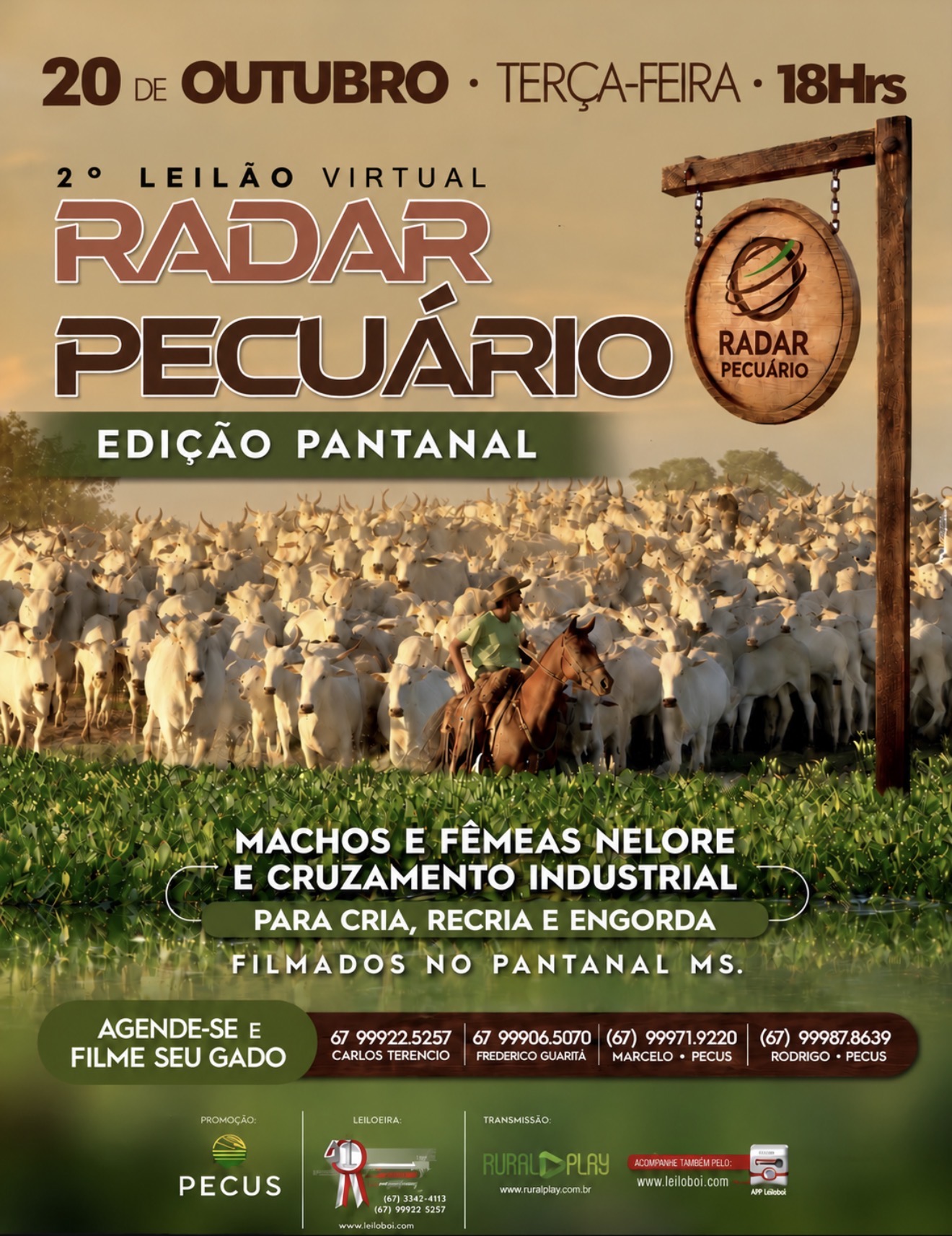 2º LEILÃO VIRTUAL RADAR PECUÁRIO - EDIÇÃO PANTANAL