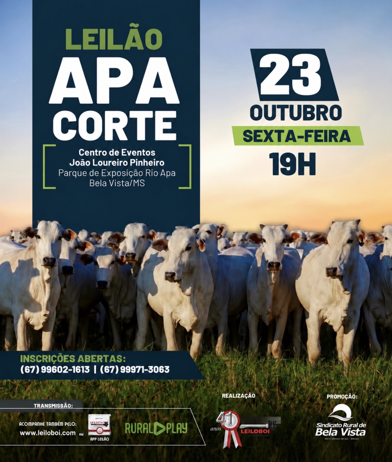 LEILÃO APA CORTE - BELA VISTA/MS