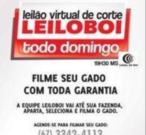 LEILÃO LEILOBOI VIRTUAL DE CORTE - Clique aqui e veja vídeo dos lotes