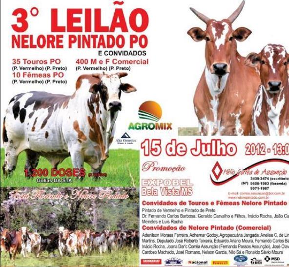 3º LEILÃO NELORE PINTADO - BELA VISTA/MS