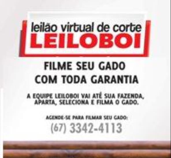 LEILÃO LEILOBOI VIRTUAL ESPECIAL DE CORTE - clique e veja imagens dos animais