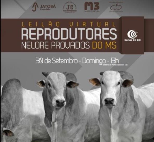 LEILÃO VIRTUAL REPRODUTORES NELORE PROVADO - clique aqui e vejas os videos dos lotes