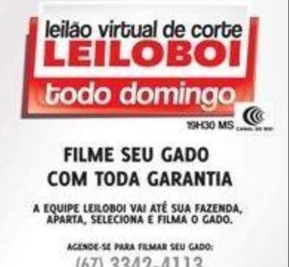 LEILÃO LEILOBOI VIRTUAL DE CORTE - Clique aqui e veja vídeo dos lotes