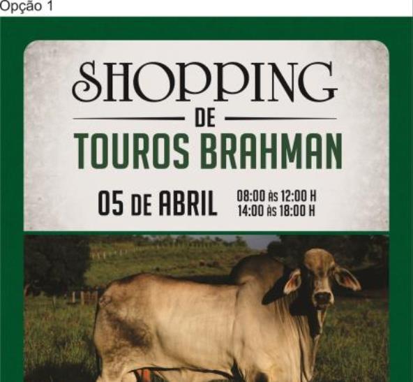 SHOPPING DO BRAHMAN CABANHA LIBRA