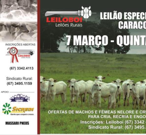 LEILÃO LEILOBOI ESPECIAL DE CORTE - CARACOL/MS