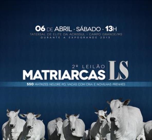 LEILÃO MATRIARCAS LS - EXPOGRANDE 2013