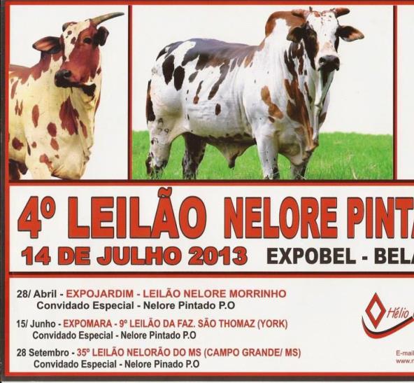 4o. LEILÃO NELORE PINTADO - EXPOBEL 2013