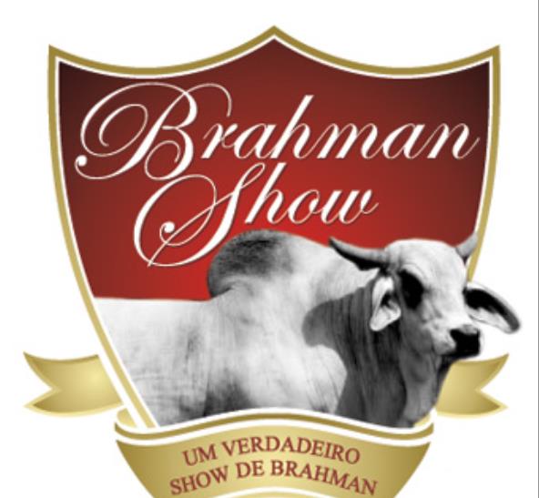 4o. LEILÃO BRAHMAN SHOW & CONVIDADOS - EXPOBEL 2013