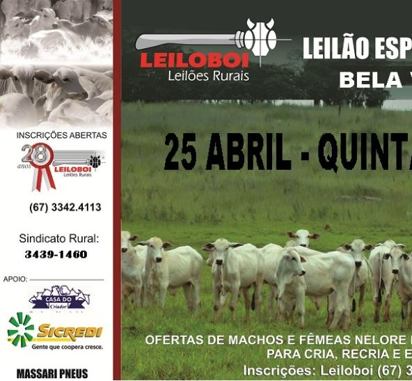 LEILÃO LEILOBOI ESPECIAL DE CORTE - BELA VISTA/MS