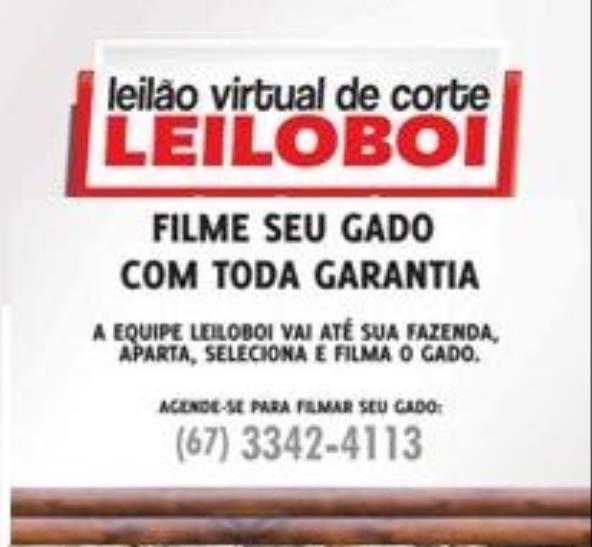 LEILÃO LEILOBOI VIRTUAL DE CORTE