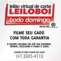 LEILÃO LEILOBOI VIRTUAL DE CORTE