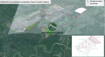 2.000 HECTARES - 117 KM DE MIRANDA/MS