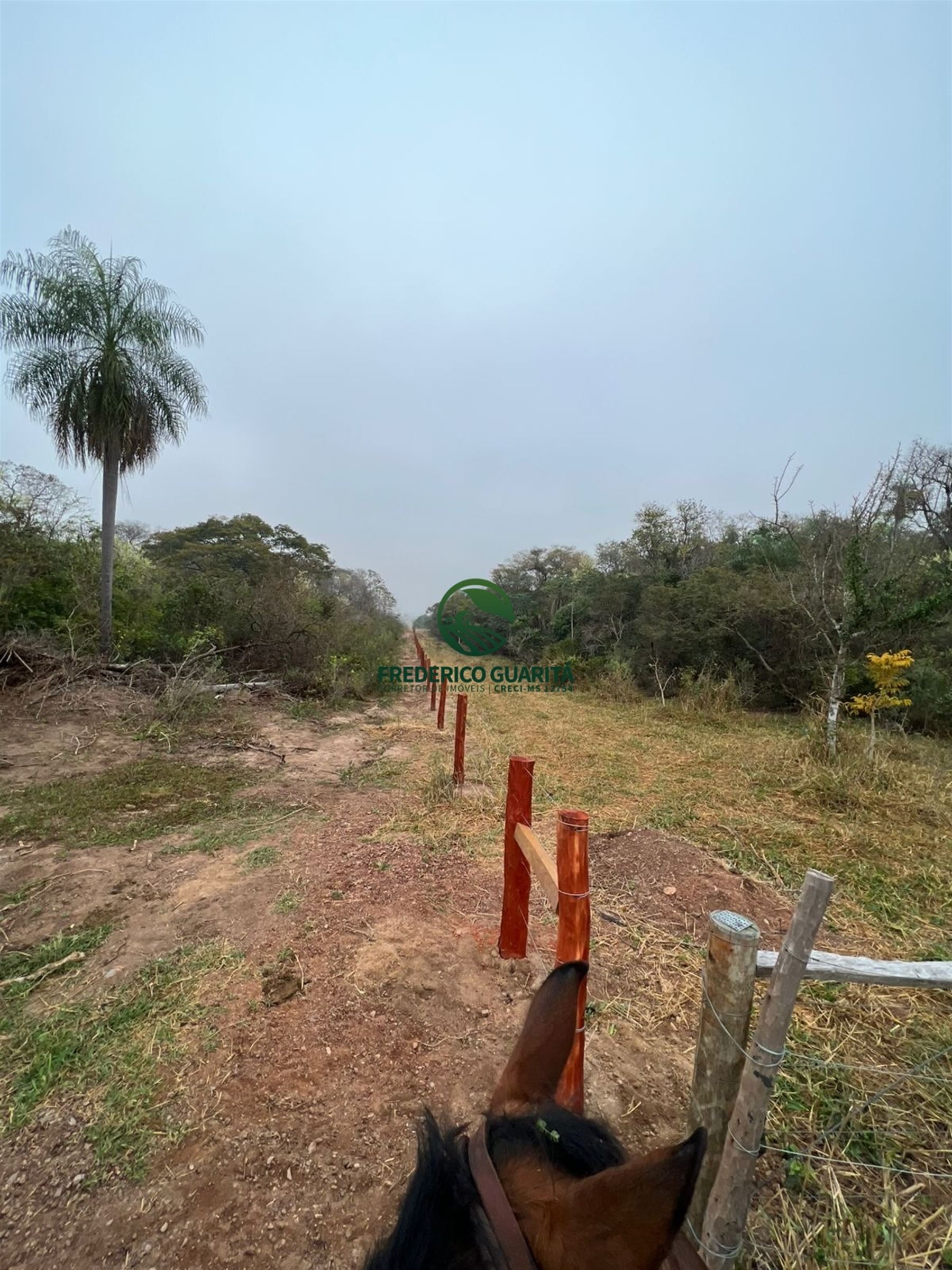 1.050 HECTARES - CARACOL/MS