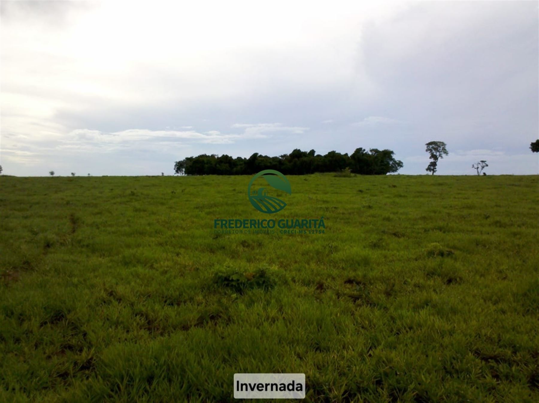 1.070 HECTARES - 40 KM DE CAMPO GRANDE/MS