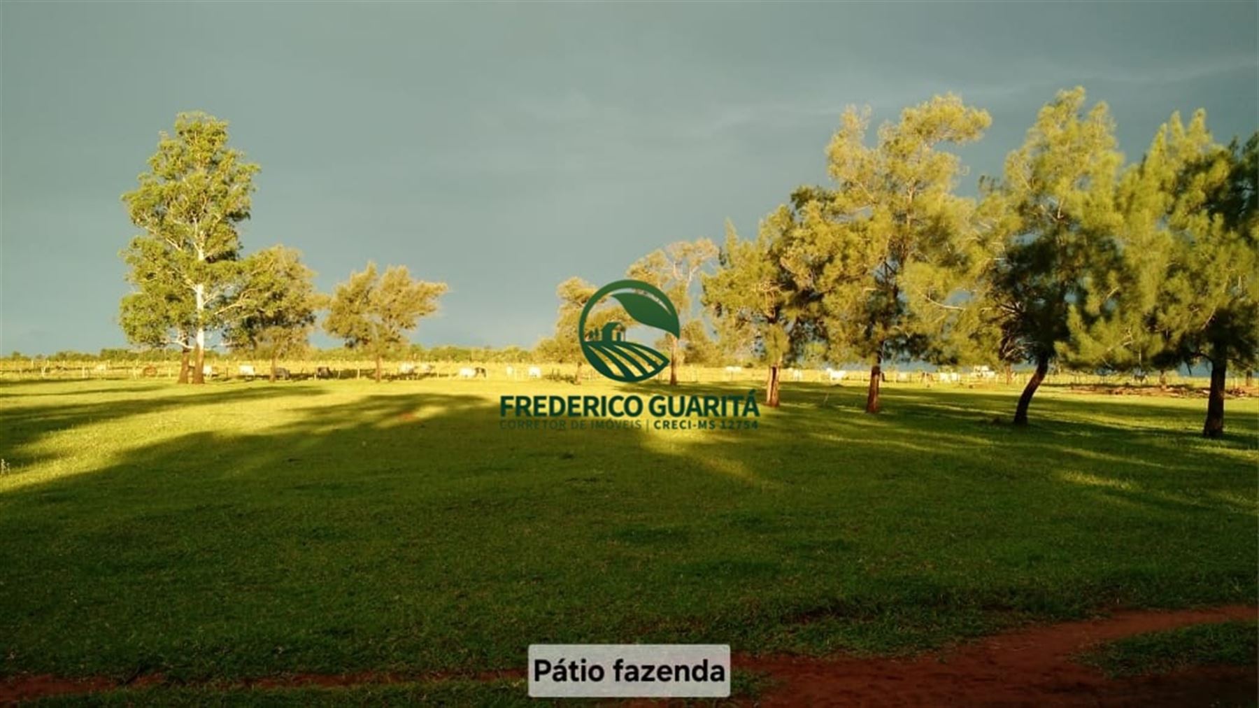 1.070 HECTARES - 40 KM DE CAMPO GRANDE/MS