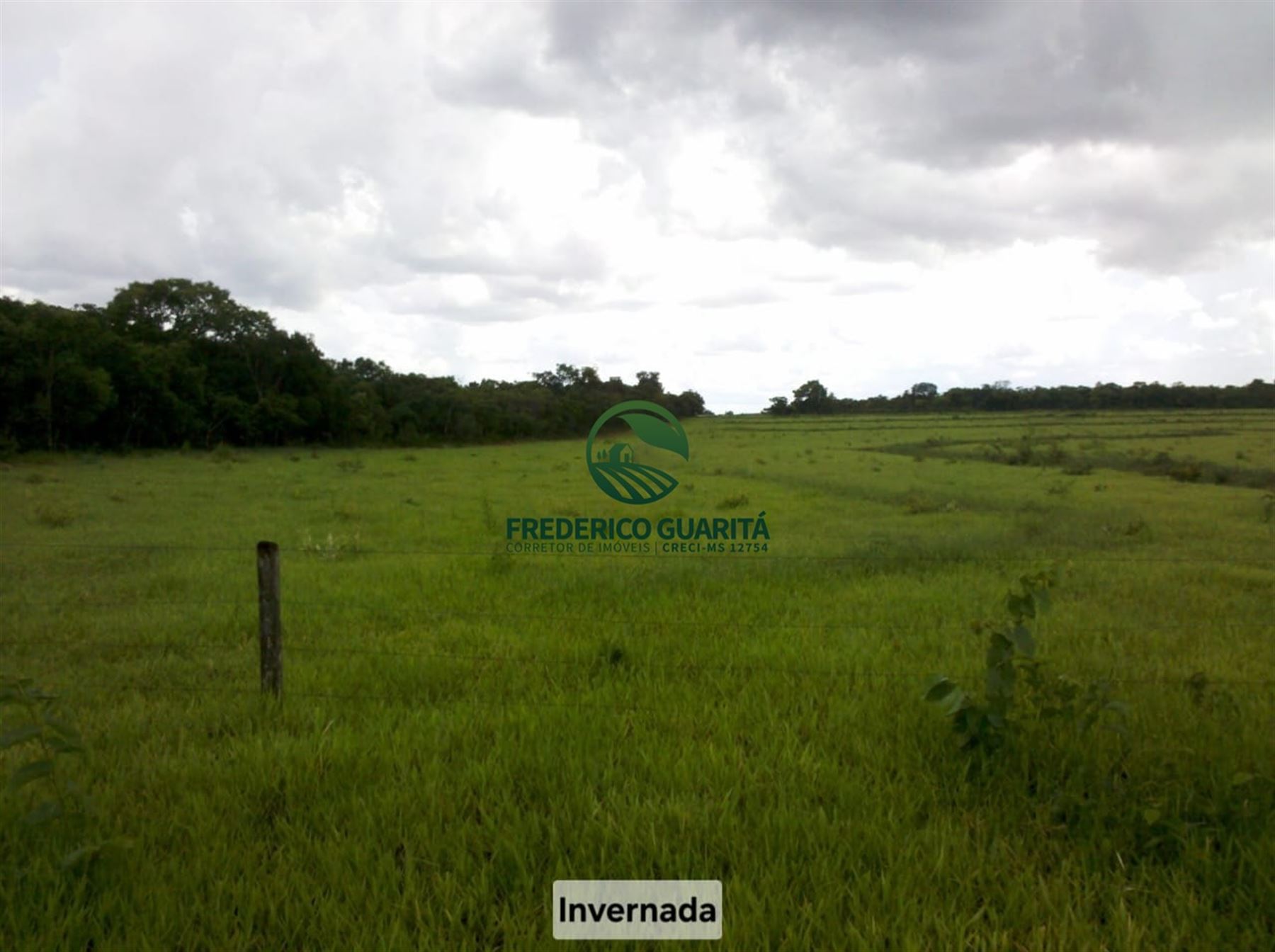 1.070 HECTARES - 40 KM DE CAMPO GRANDE/MS