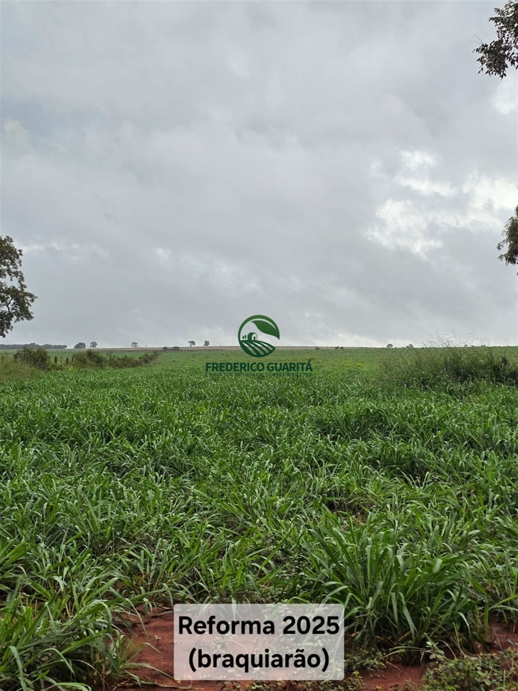 1.070 HECTARES - 40 KM DE CAMPO GRANDE/MS
