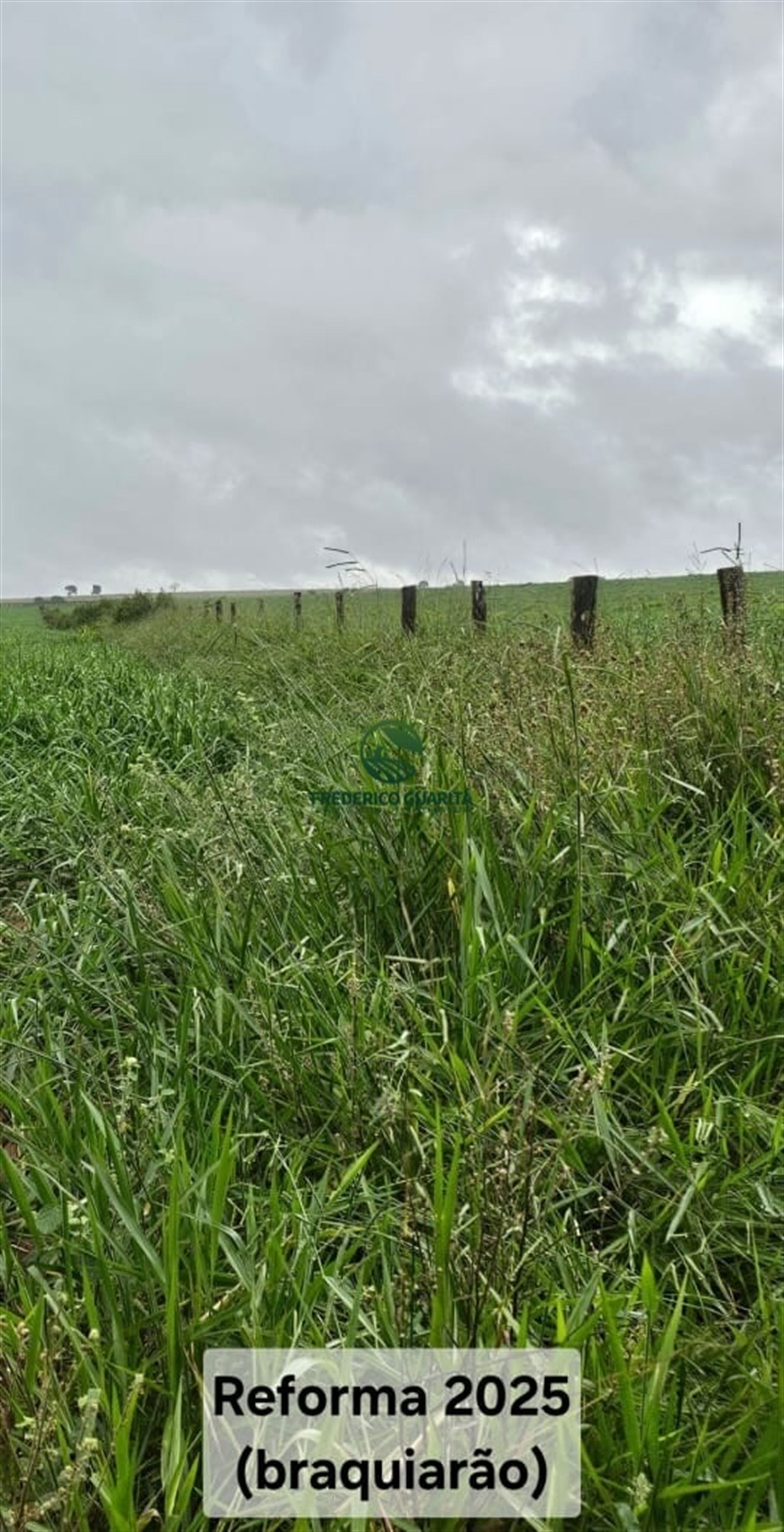 1.070 HECTARES - 40 KM DE CAMPO GRANDE/MS