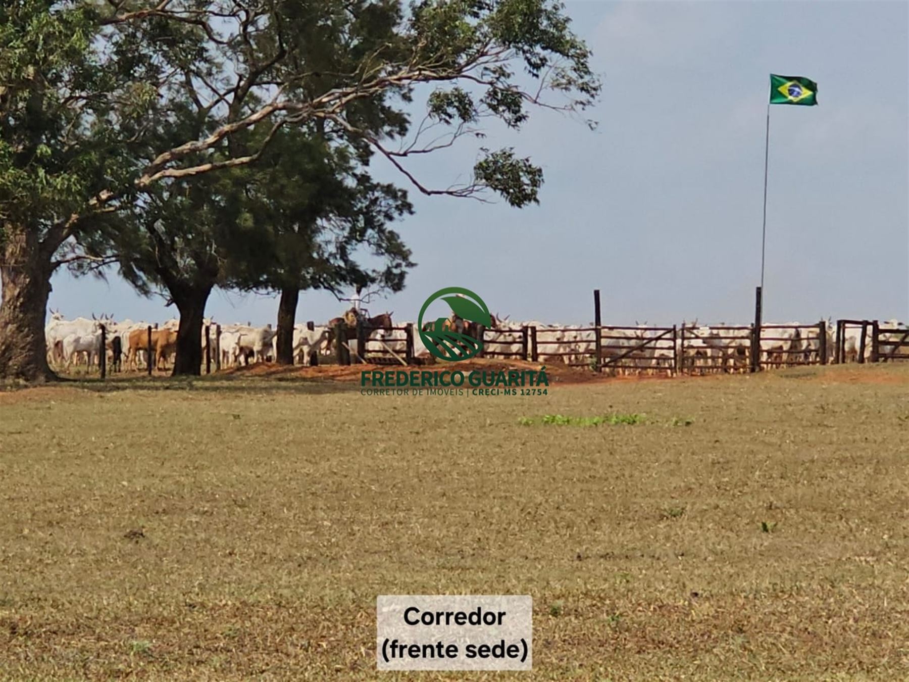 1.070 HECTARES - 40 KM DE CAMPO GRANDE/MS