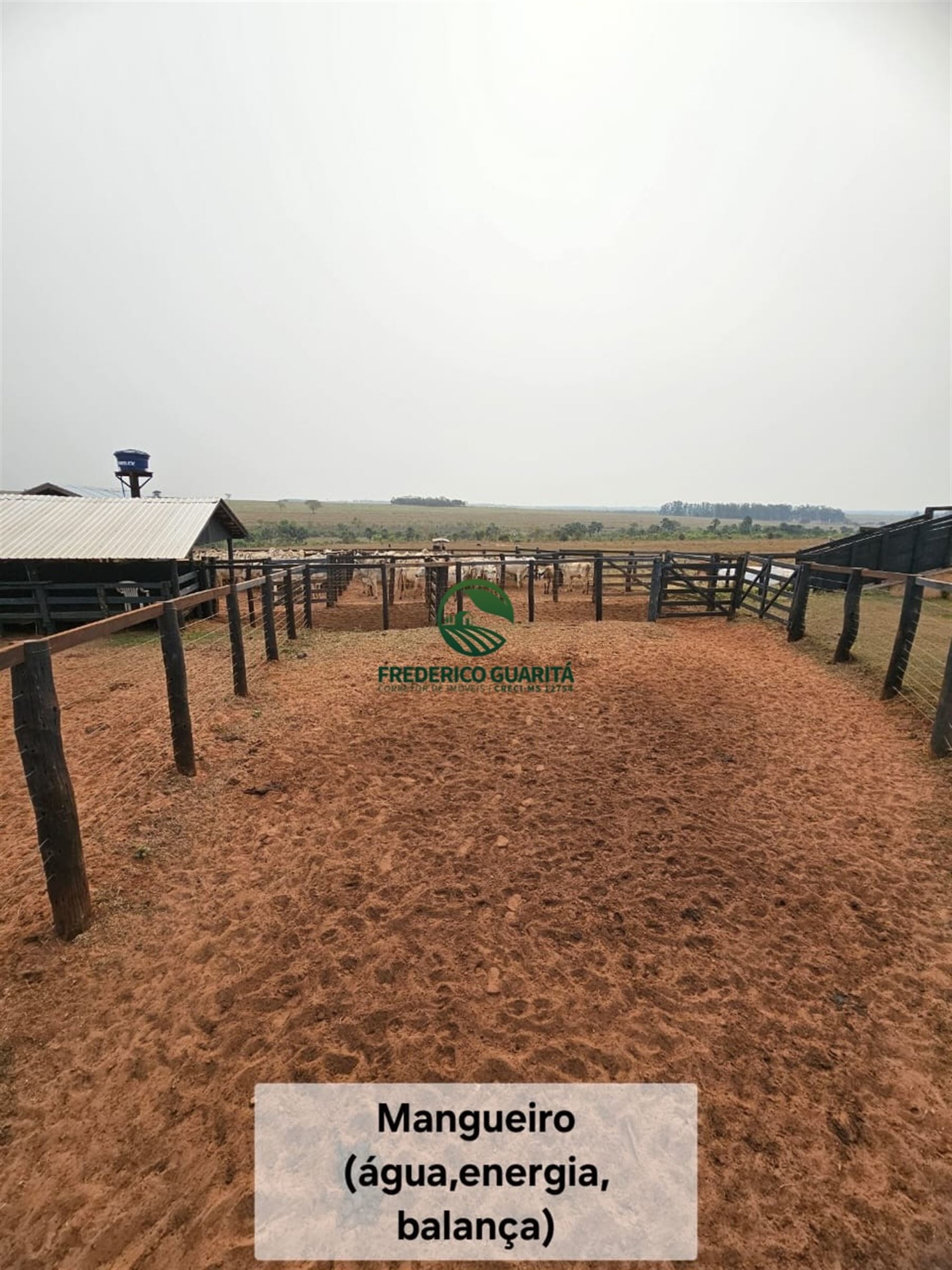 1.070 HECTARES - 40 KM DE CAMPO GRANDE/MS