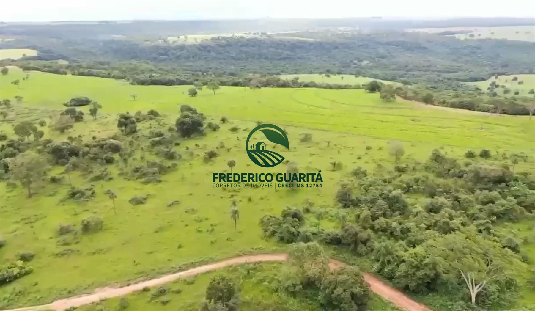 285.5 HECTARES - 35 KM DE CAMAPUÃ/MS