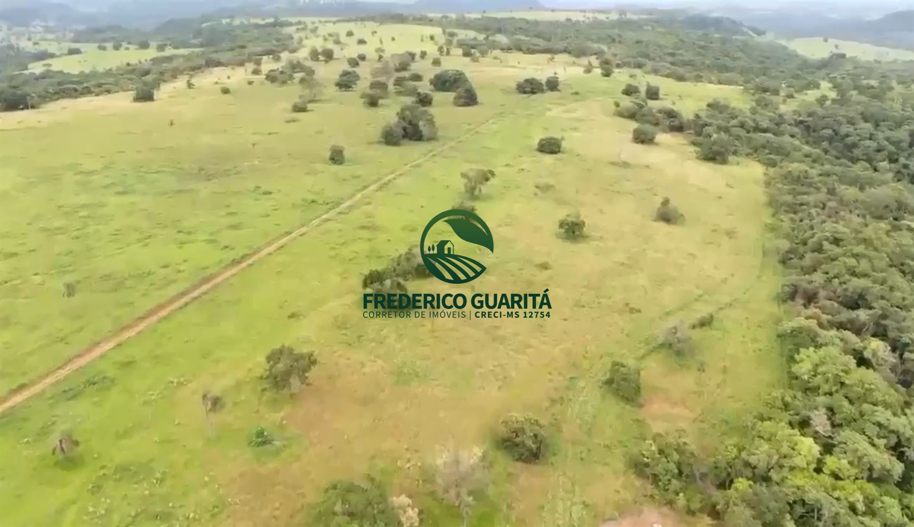 285.5 HECTARES - 35 KM DE CAMAPUÃ/MS