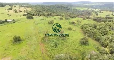 285.5 HECTARES - 35 KM DE CAMAPUÃ/MS
