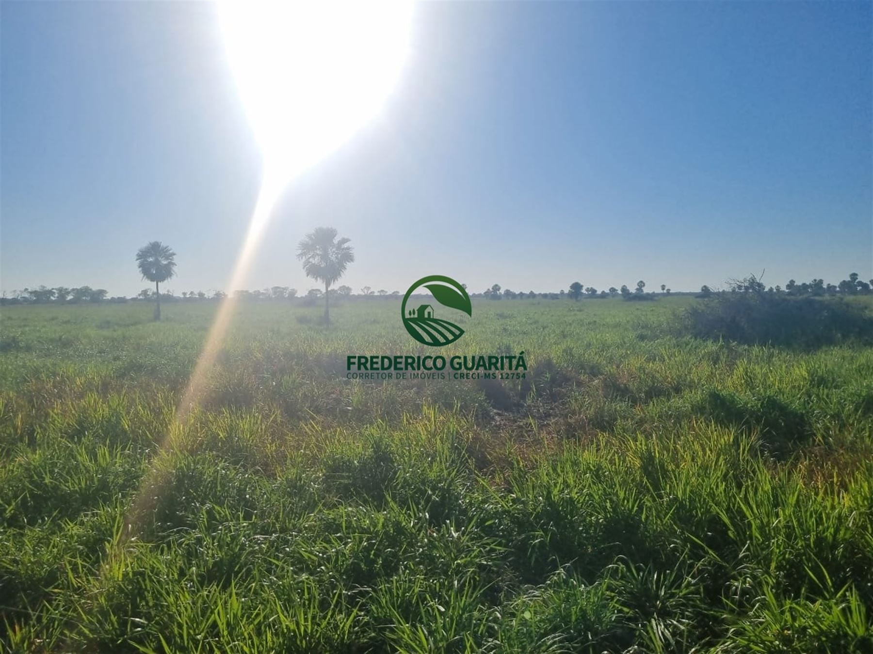 7.300 HECTARES, 35KM DE CORUMBÁ/MS