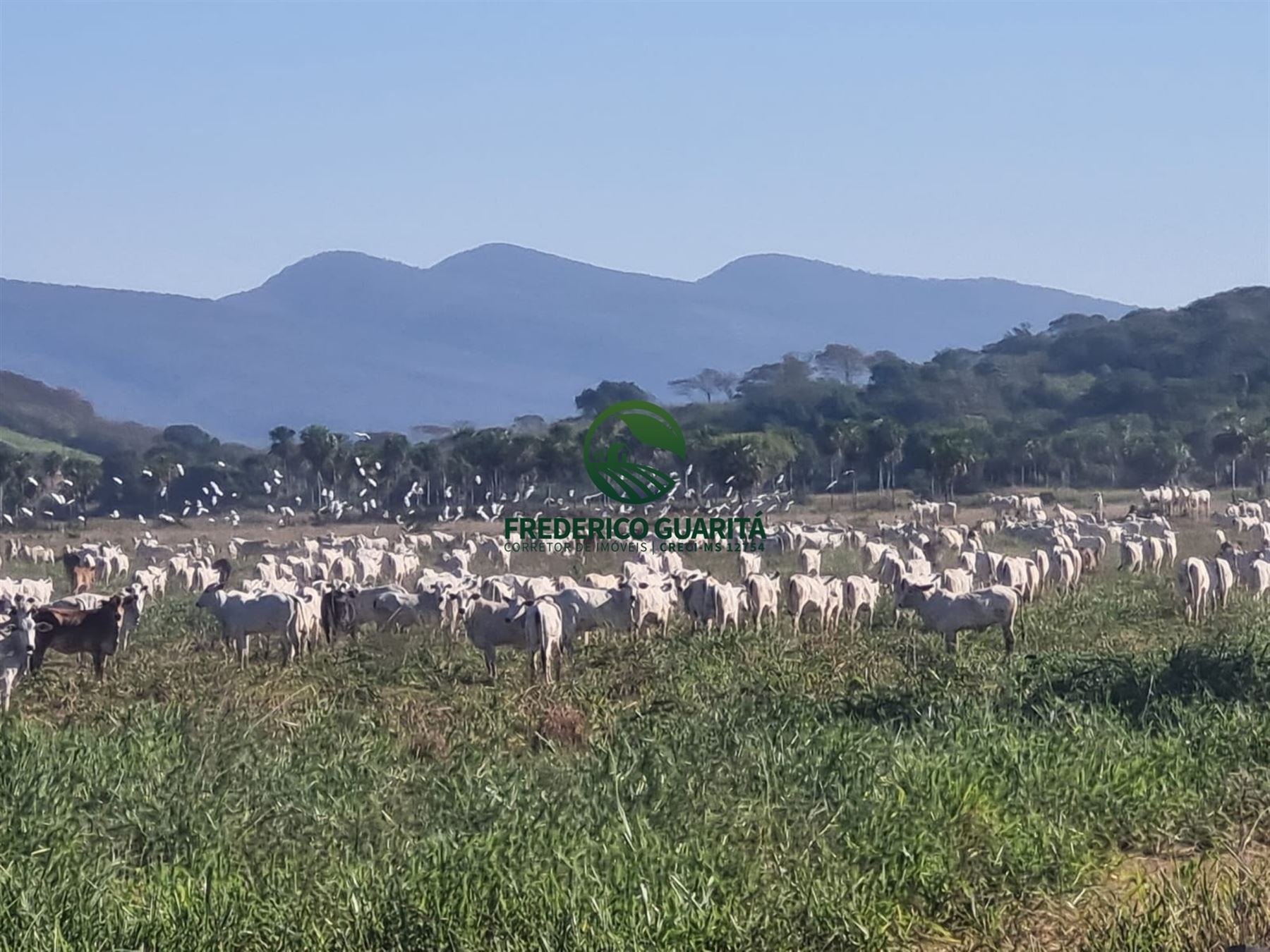 7.300 HECTARES, 35KM DE CORUMBÁ/MS