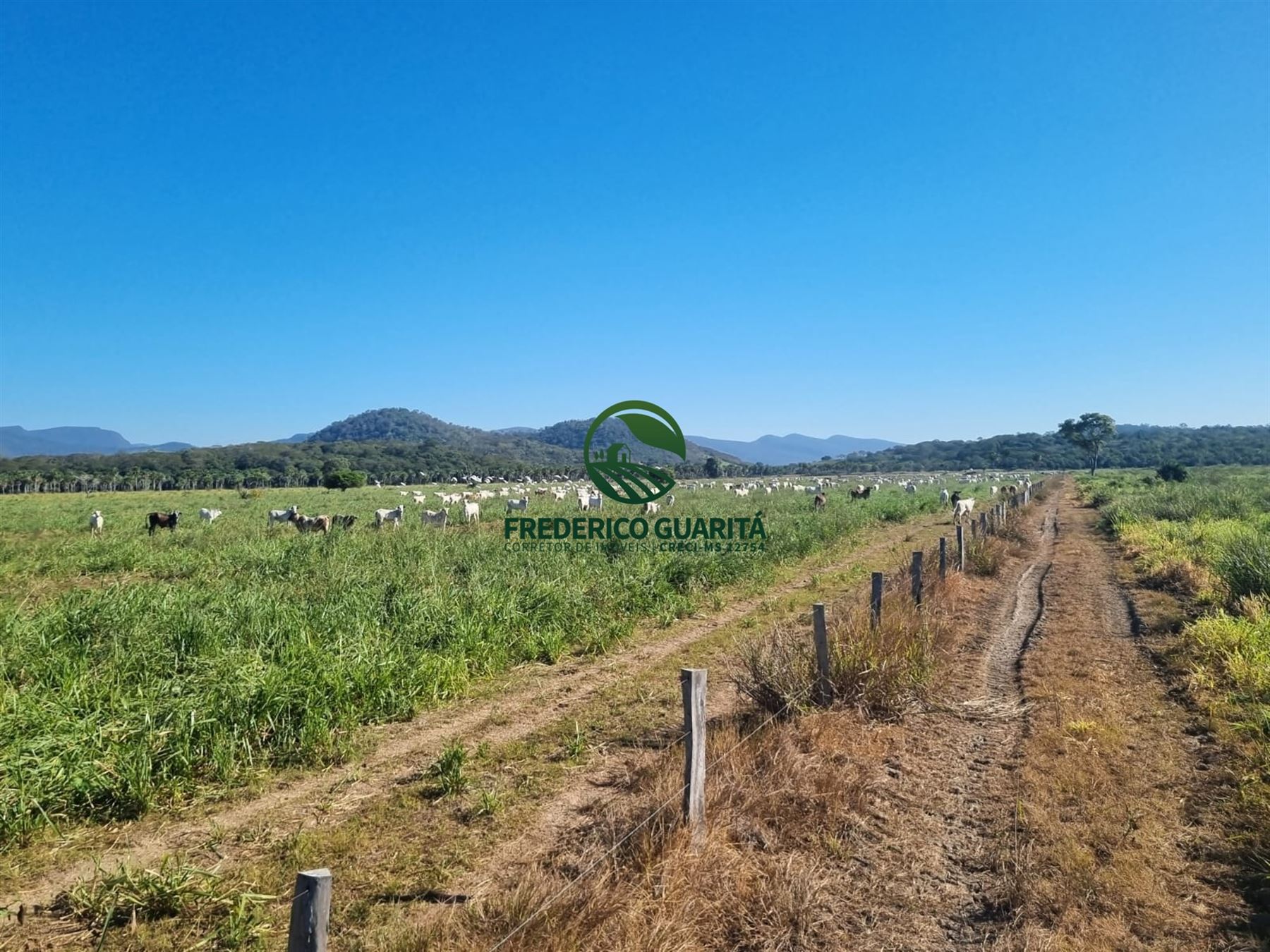 7.300 HECTARES, 35KM DE CORUMBÁ/MS