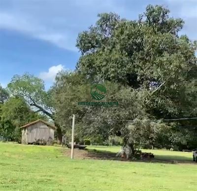 400 HECTARES - 31KM DA BR 163, SENTIDO CURVA DO LEQUE 