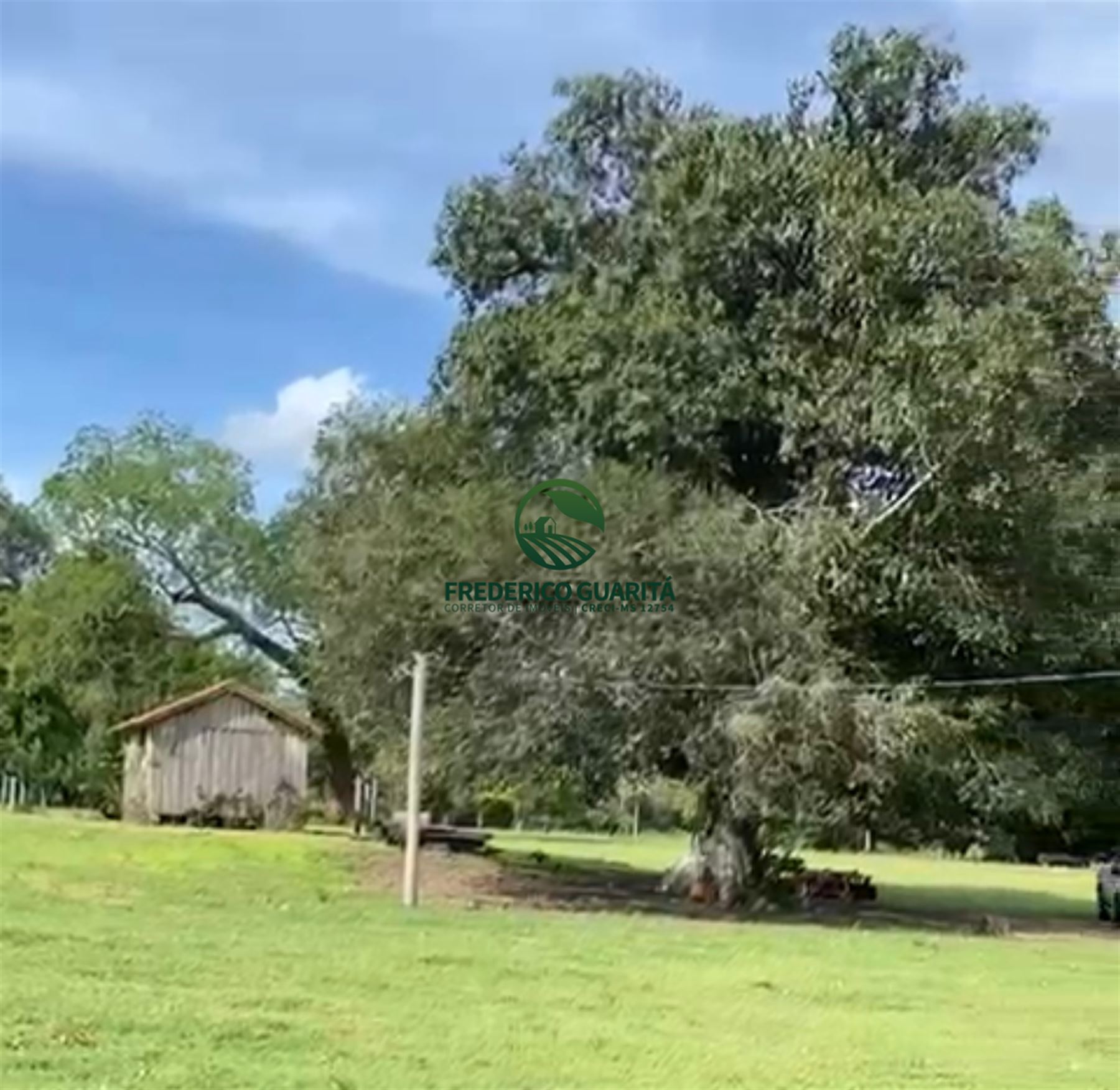 400 HECTARES - 31KM DA BR 163, SENTIDO CURVA DO LEQUE