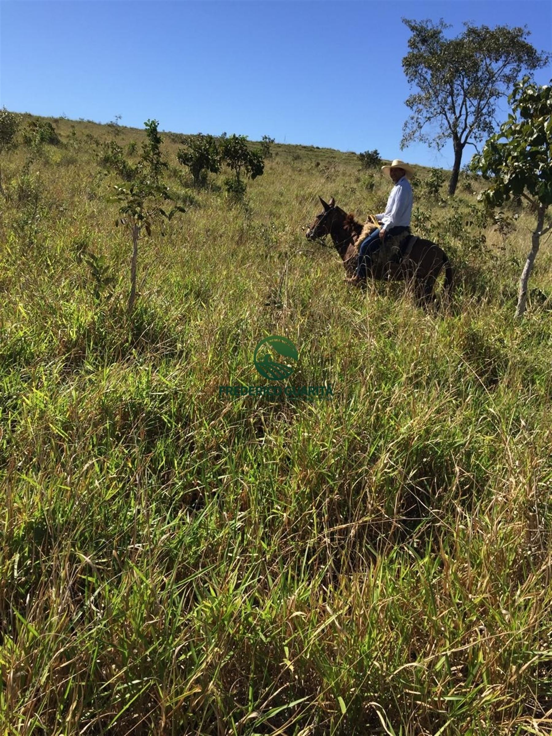 2.236 HECTARES - 16KM DE 70KM DE CAMAPUÃ/MS