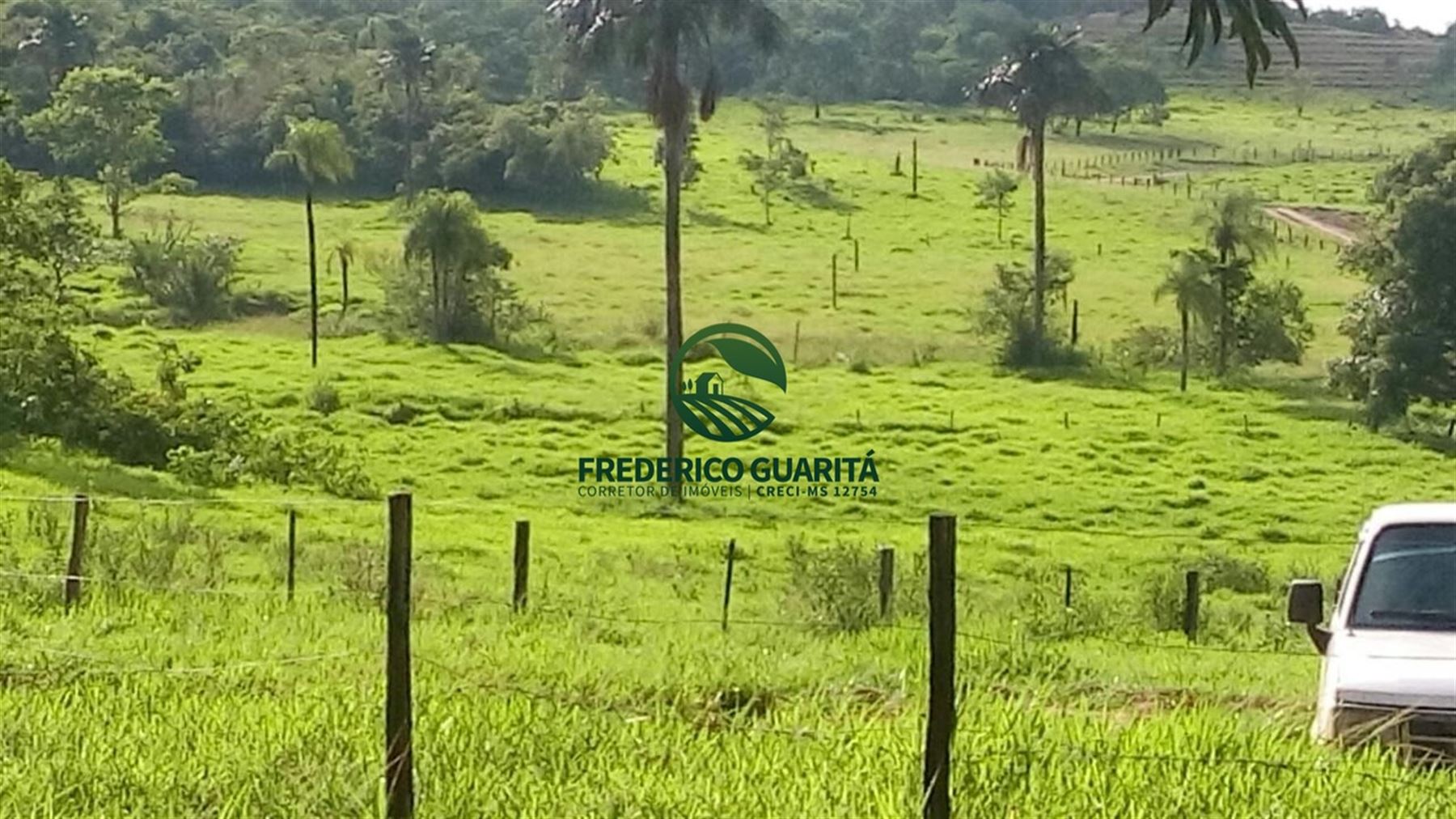 2.236 HECTARES - 16KM DE 70KM DE CAMAPUÃ/MS