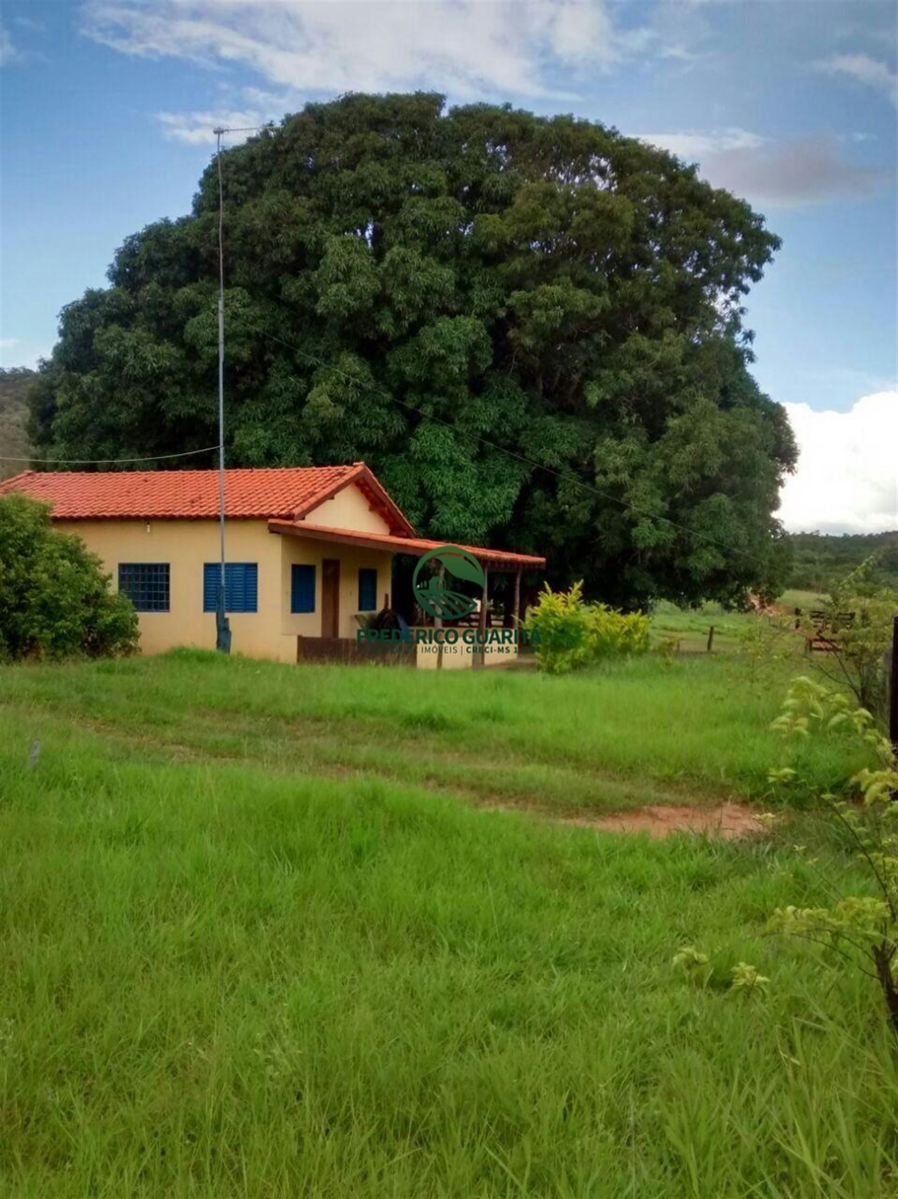 2.236 HECTARES - 16KM DE 70KM DE CAMAPUÃ/MS