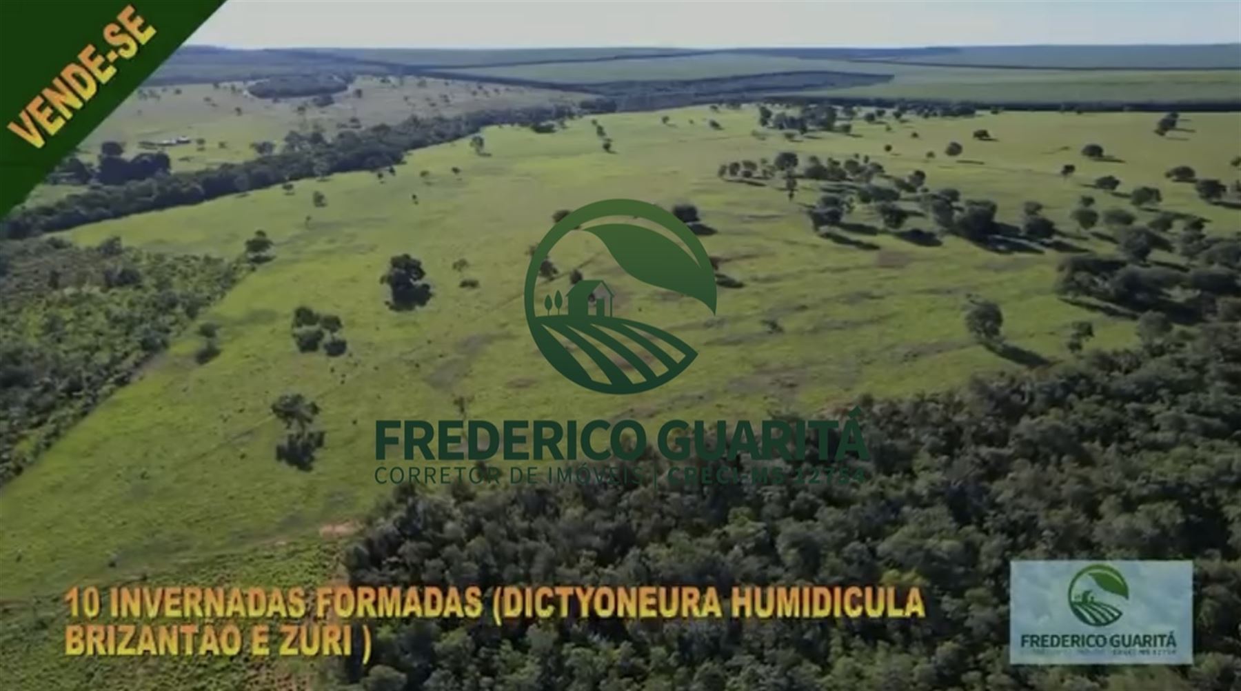 290 HECTARES - RIBAS DO RIO PARDO/MS